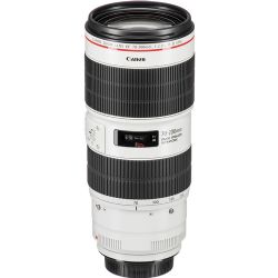 Canon EF 70-200mm f/2.8L IS III USM Lens