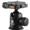 Vanguard Alta Pro 254 Carbon Fiber Tripod With SBH-50 Ball Head