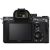 Sony Alpha a7 III Mirrorless Digital Camera