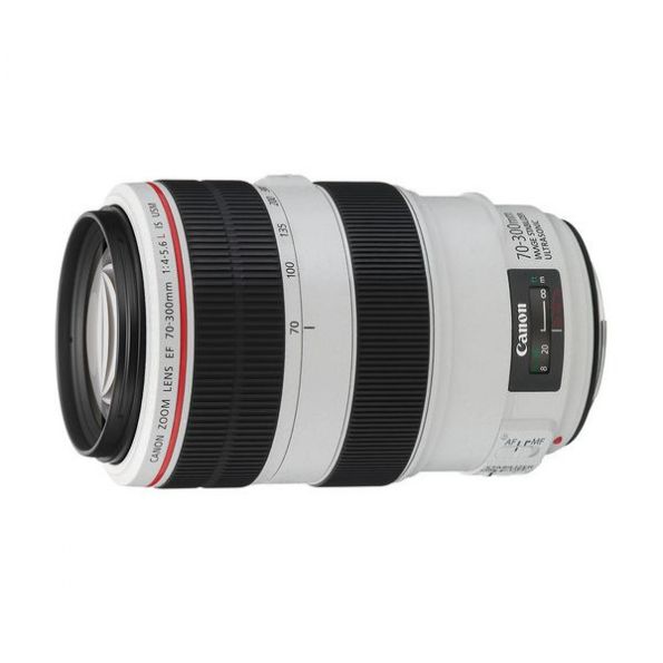 Canon EF 70-300mm f/4-5.6L IS USM Lens