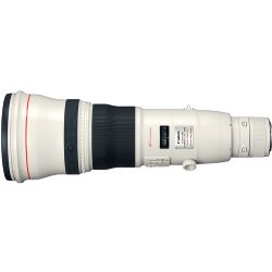 Canon EF 800mm f/5.6L IS USM Lens