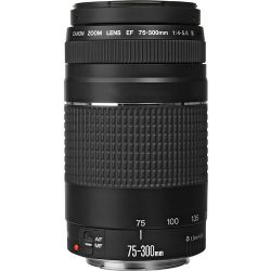 Canon EF 75-300mm f/4-5.6 III Lens