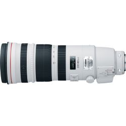 Canon EF 200-400mm f/4L IS USM Lens