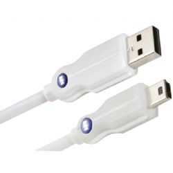 Monster Male To Mini B Usb .5ft