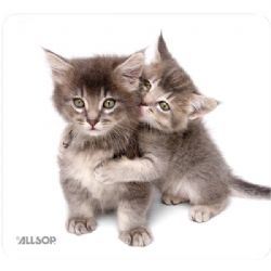 Allsop Natursmrt Mouse Pad Kittn