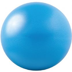 Gofit 20cm Core Ab Ball