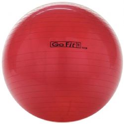 Gofit 55cm Exercise Ball With