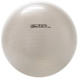 Gofit 65cm Exercise Ball With