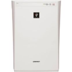 Sharp FP-A40UWRB Dual Action Plasmacluster Air Purifier