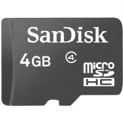 Sandisk Micro Sdhc Card Only 4gb