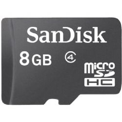 Sandisk Micro Sdhc Card Only 8gb
