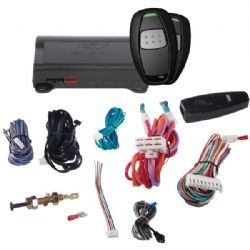 Avital Remote Start W/2 1-button