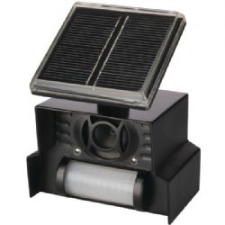 P3 Solar Anml Chsr
