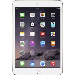 Apple -MH3G2LL/A 16GB iPad mini 3